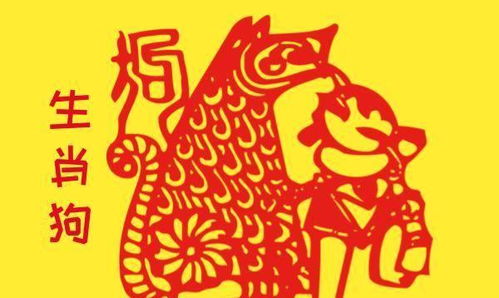 如何化解属狗26年犯太岁问题，属马太岁符具体含义是什么？