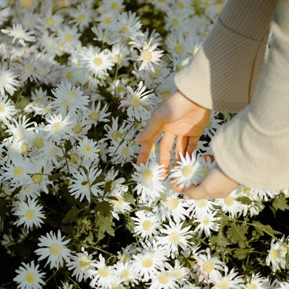 感情与桃花运的总体特征