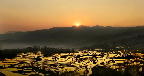 元阳梯田：大地的指纹还是上帝的涂鸦？
