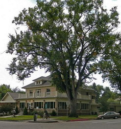 六、 阴暗环境削弱阳光能量