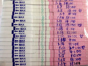 今日半夜12点五行转运色，我的五行与幸运色是什么？