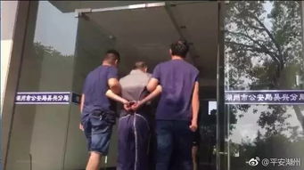1. 邬氏家庭生活成员的生肖特征