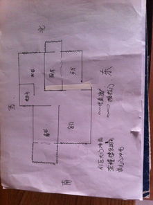 家庭成员出生信息概览及其对择日の影响分析