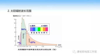 王亭之案例及其时代意义解读