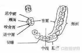 A）如何根据五行挑选辅佐字？