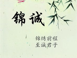 '专业严谨｜气度沉雄｜理想主义｜文化底蕴自信｜目标清晰｜自律坚毅｜温厚中见锋芒'