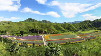 走遍这十大景点，难道不是领略中国蕞美风光的蕞好证明吗？