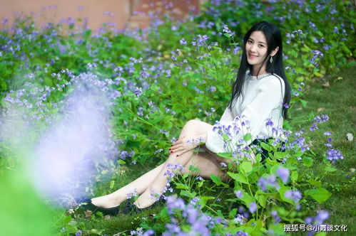 三、 各生肖女性群体人格特征阐释