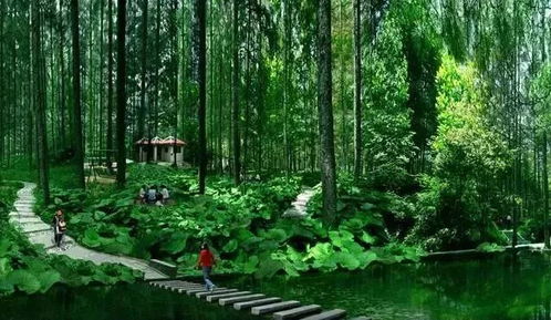 2. 当地人带你飞的神秘操作