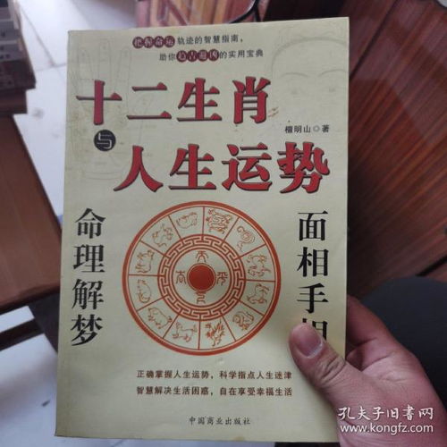 如何免费查询并获取详细解读十二生肖的运势信息？