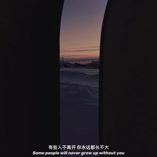 研究背景与问题提出