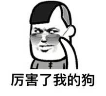 真实相的揭露