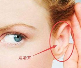 2. 相学的广阔范畴 - 从面部到整体