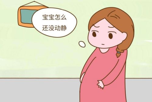 （一）十二时辰对应解读