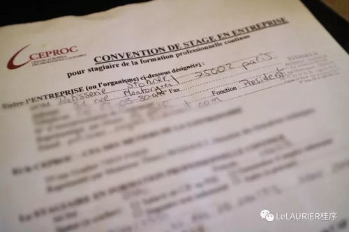 ：神秘现象背后的玄学逻辑与风水场域