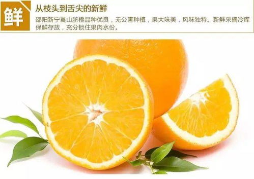 旅行中的橙子：随身携带的酸甜小伙伴