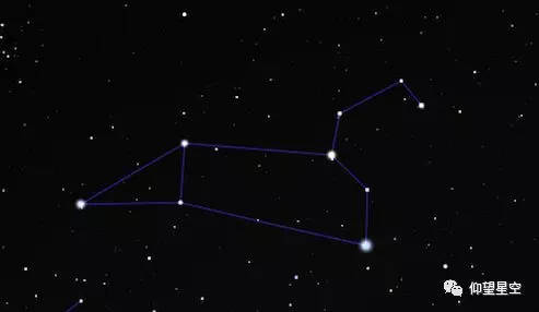 1010号星座是哪个？腿长的星座女有哪些？