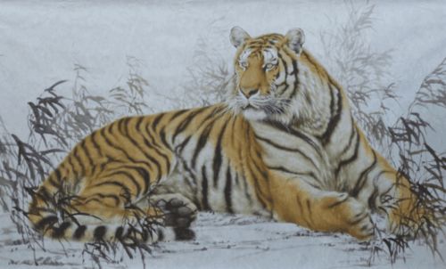 1986年属虎的人2026年运势及运程具体如何？