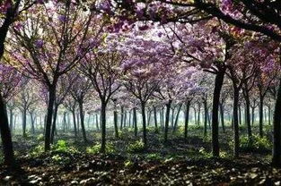 出了市区就是高速？想得美！