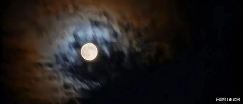 幻象突现：扭曲面孔与自我镜像