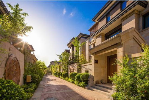 空间秩序与杂物堆放：气场流通的阻碍与化解