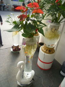 2.2 水质管理及营养供给