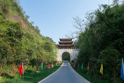 为什么景东被称为秘境？到底哪里神秘了？