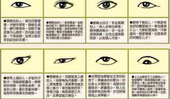 情感表达与外界认知的差异
