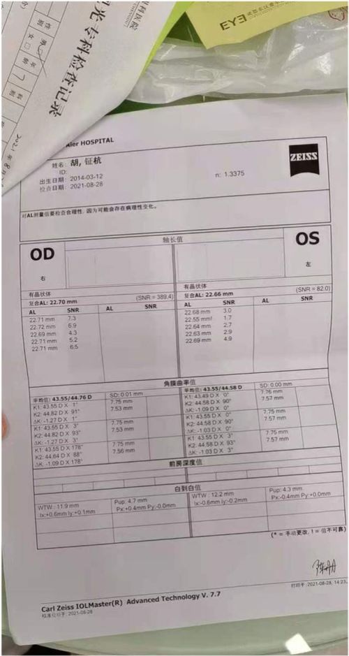 2019年猪宝宝出生，哪一天的日期最吉利？