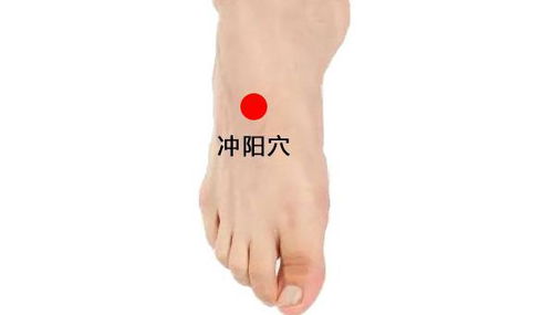 二、  枝水定穴法的核心机理与实操分析