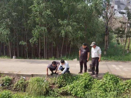 男命戊戌日出生，行乙酉大运，为何事业运势多波折？