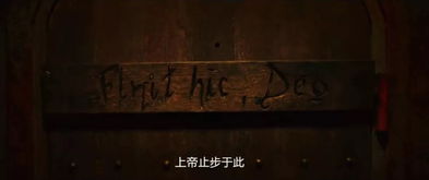 五、 解惑与反思：阴阳平衡与自我救赎的有可能性