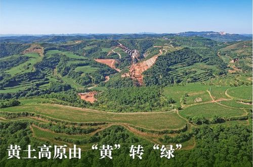 森林覆盖率与旅游资源开发潜能评估