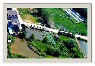 建河在哪里？鬼知道