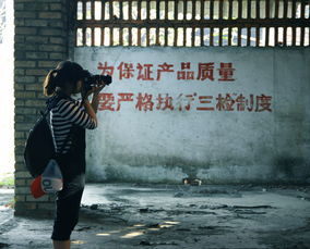 事件概述与研究背景