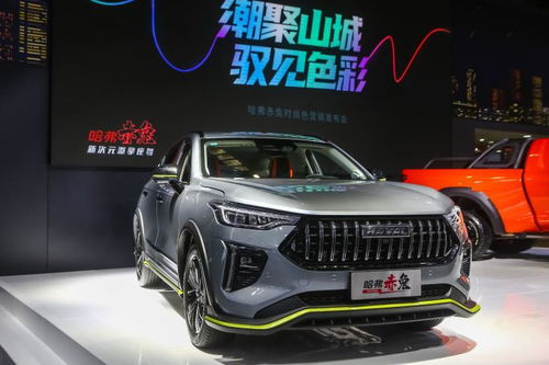 序言：星象与风水交织的青春之惑