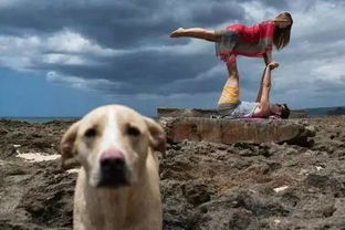 单身狗注意！花开梦=倒大霉！