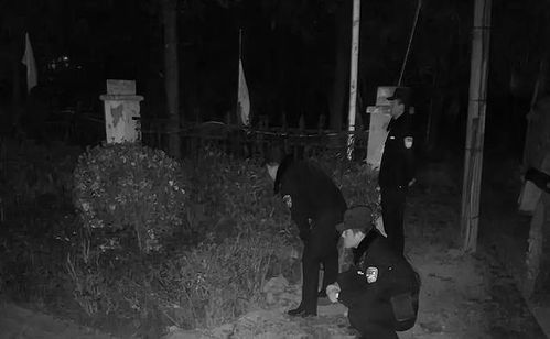 二、案例概述：从悲剧到圆满的命运转折