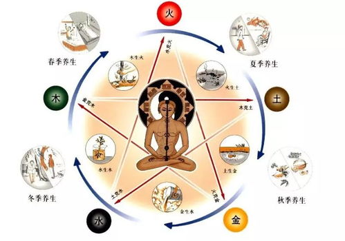 楚字五行属性是木还是金，其吉凶如何判断？