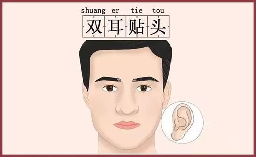 鼻相对储蓄及理财能力的映射