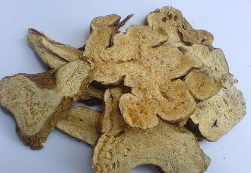 C．茯苓–白术共用强较大化渗湿健脾策略