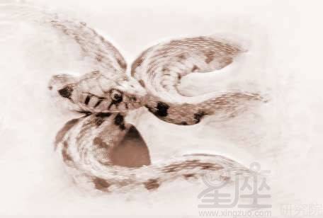 梦见被蛇咬了是什么征兆，周公解梦号码是多少？