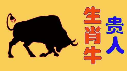 2026年属牛人贵人运大揭秘！看完惊掉下巴