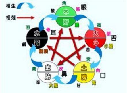 七情六欲对应的生肖是什么生肖？这个生肖代表什么含义？