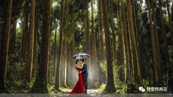探究“幽灵”事件的真实相