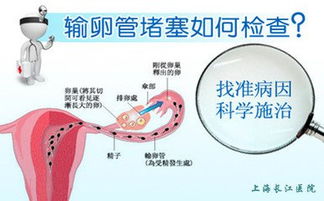 三、常见症状与误区（噪音版）