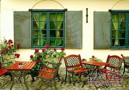 第四招：养鱼测风水