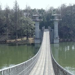 除了走桥还嫩干啥?