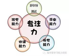 三、 家庭教育环境对学习力构建的关键影响