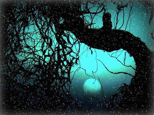 梦见自己屠黄龙，这梦境预示着什么？有什么特殊含义吗？